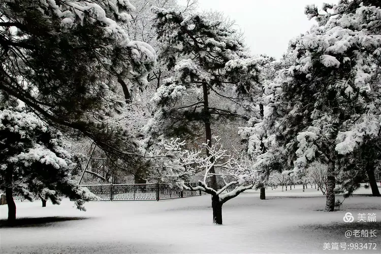 粉妆玉砌的雪景